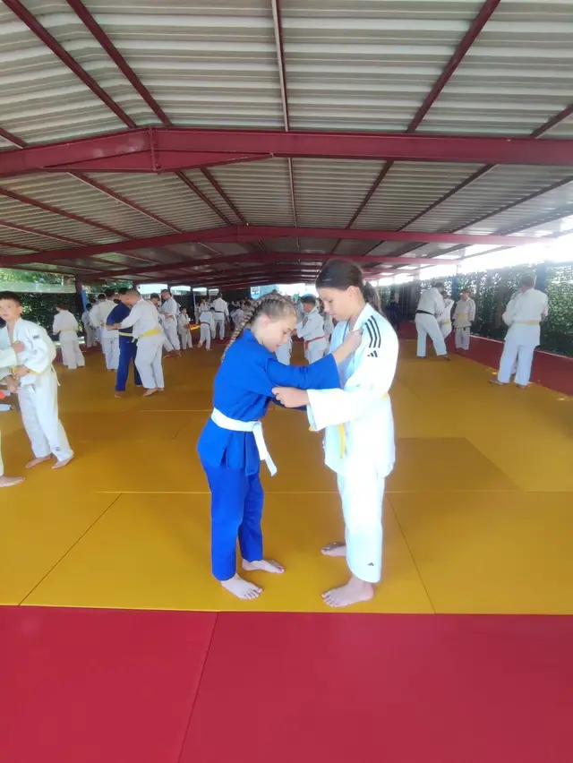 Marina Constanta la Judo International