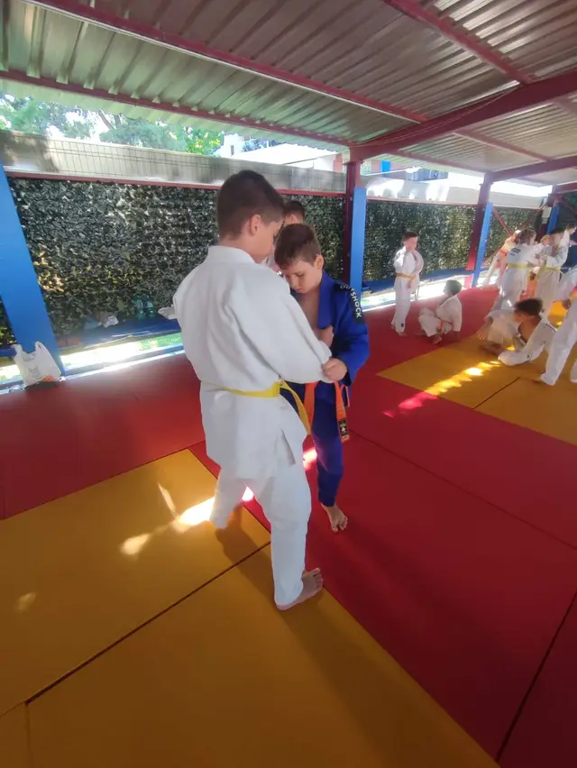 Marina Constanta la Judo International