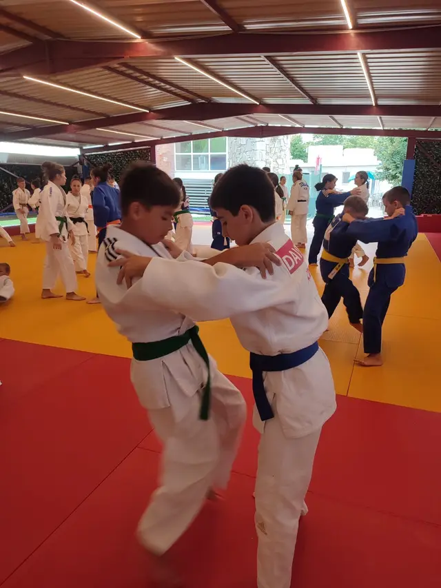 Marina Constanta la Judo International