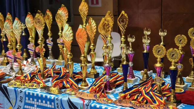 campionatul national taekwondo wt 7 trofee